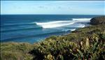 catching a wave in new zealand